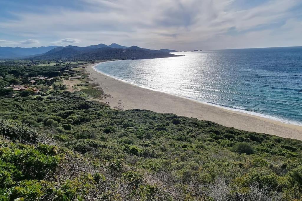 Charmant Petit Logement A 3 Kms De La Plage Belgodère المظهر الخارجي الصورة